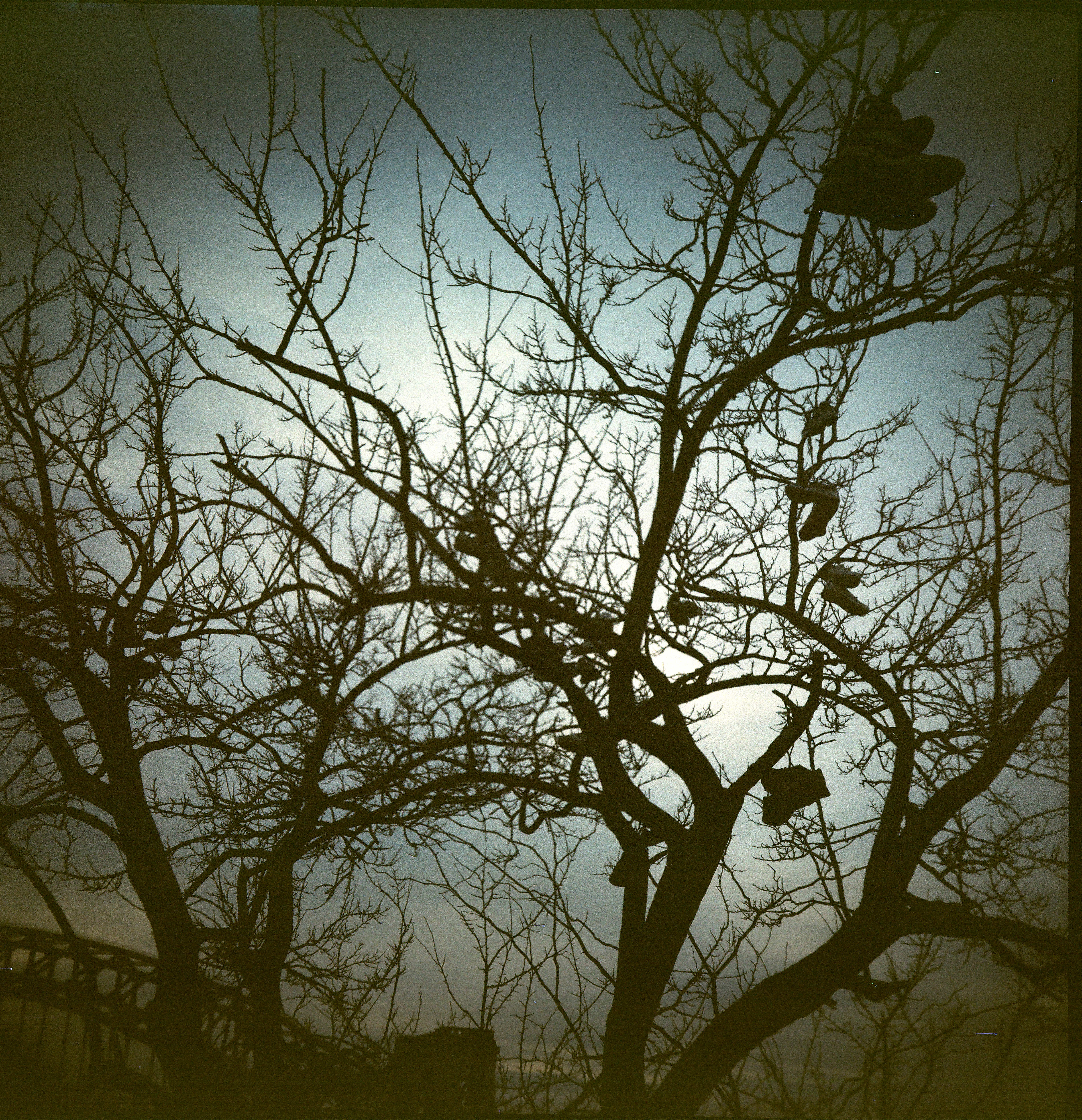 Astoria Park
